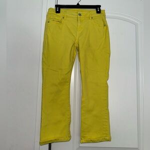 Cabi Kick Back Kick Flare #6286